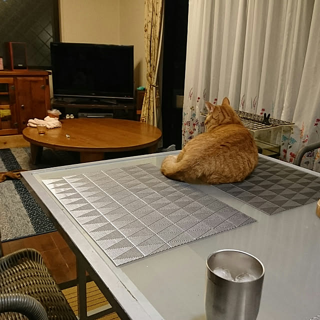 okyosan101さんの実例写真