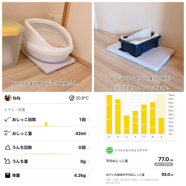 catlogboard/買ってよかったもの/猫と暮らす/部屋全体のインテリア実例 - 2023-03-04 16:44:02