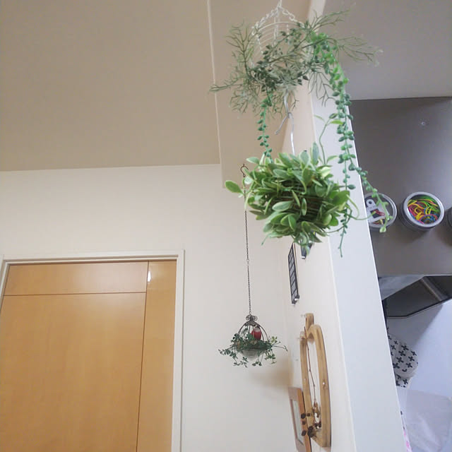 n0516さんの実例写真
