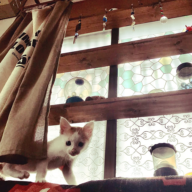maroさんの実例写真
