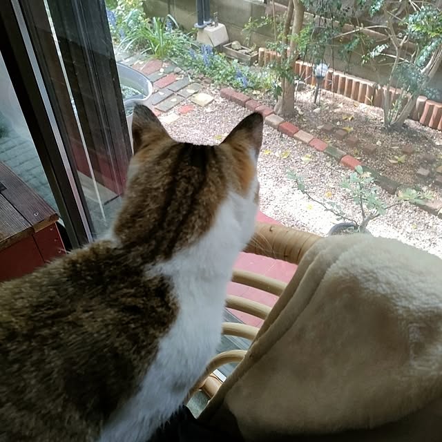 mori_6_12さんの実例写真