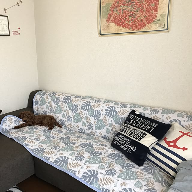 yokkoさんの実例写真