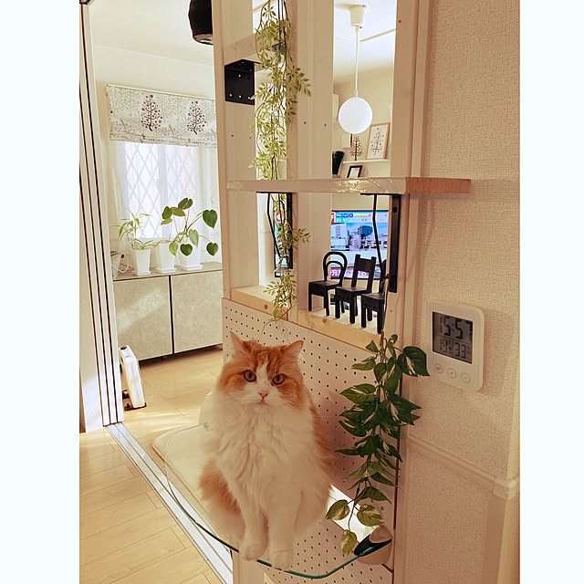 H.Tさんの実例写真