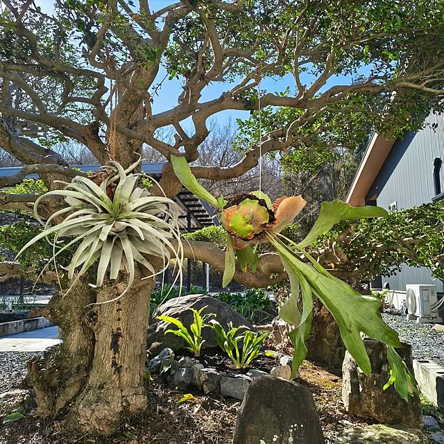 Rubiconさんの部屋