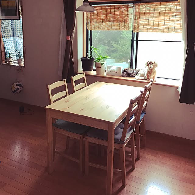 asaさんの実例写真