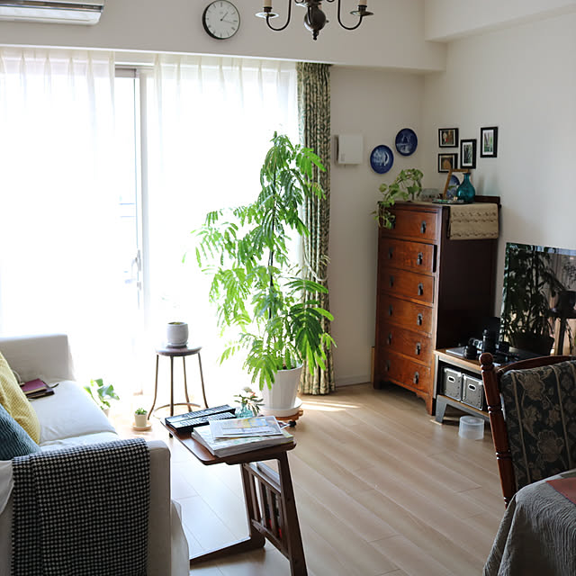 部屋全体/マンションインテリア/ひとり暮らし/グリーンのある暮らし/アンティーク...などのインテリア実例 - 2017-11-05 13:18:46