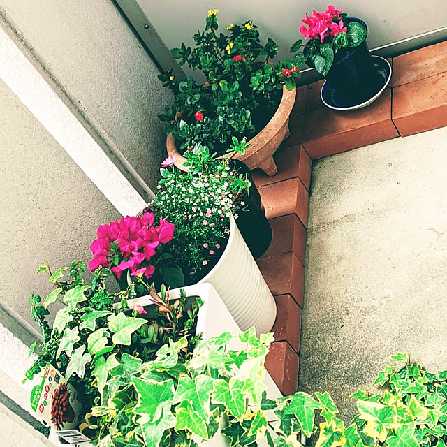 nonkoさんの実例写真