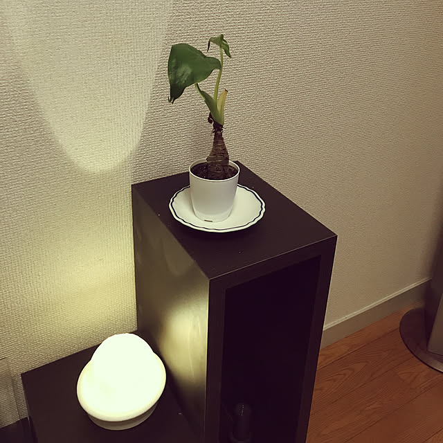 Rinkaさんの実例写真