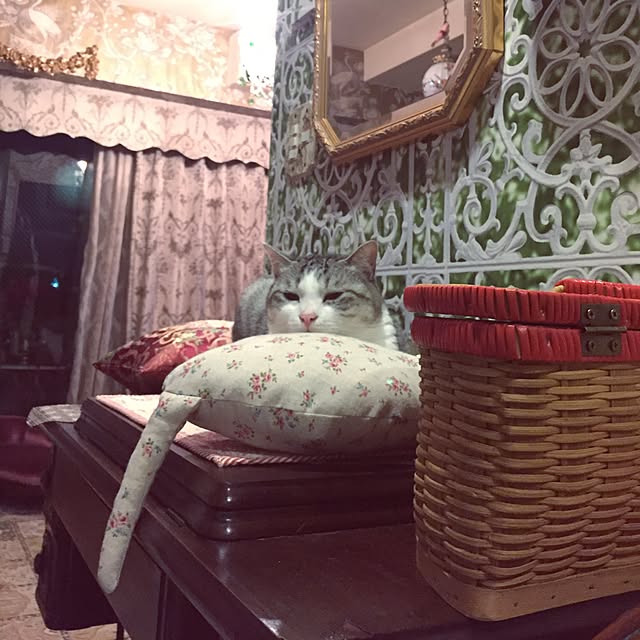 emmyyさんの実例写真