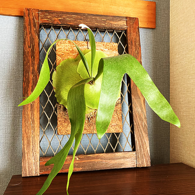 uzuraさんの実例写真