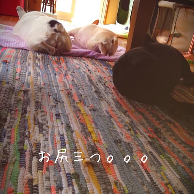 38coreさんの実例写真