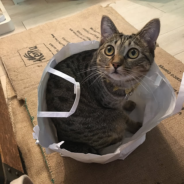 Mさんの実例写真