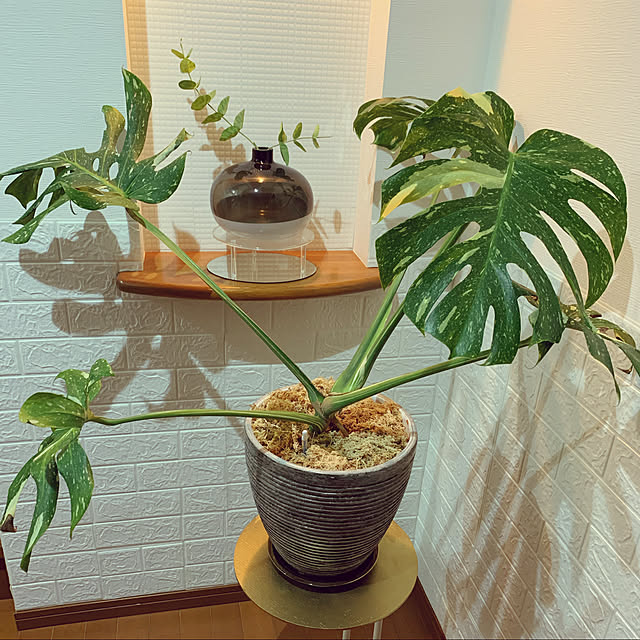 MandRさんの実例写真