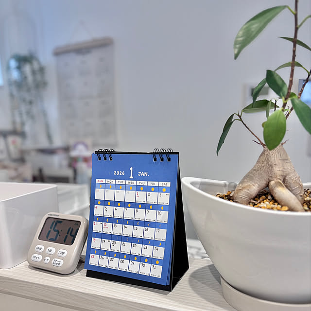 キッチン/Daiso/ダイソー/カレンダー/子どもと暮らす...などのインテリア実例 - 2026-01-11 20:16:39