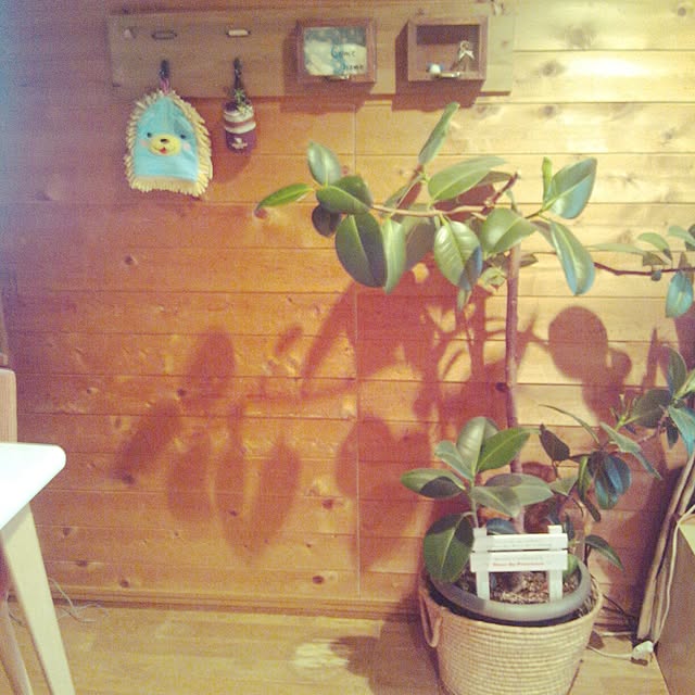 部屋全体のインテリア実例 - 2014-03-25 17:28:31