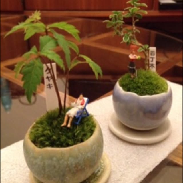 sakurambowさんの実例写真