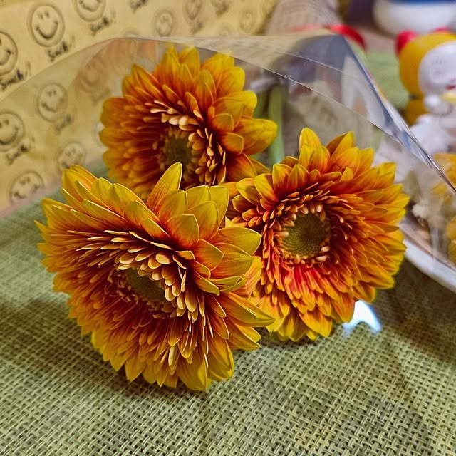 mocomocoさんの部屋