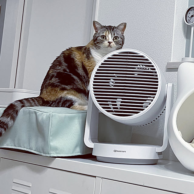 mouseさんの部屋