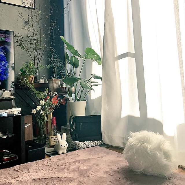 aikoさんの実例写真