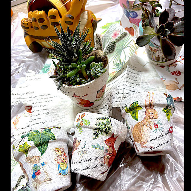 syutmmさんの部屋