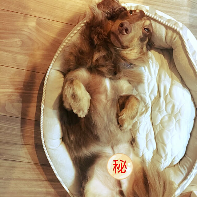 miyonさんの実例写真