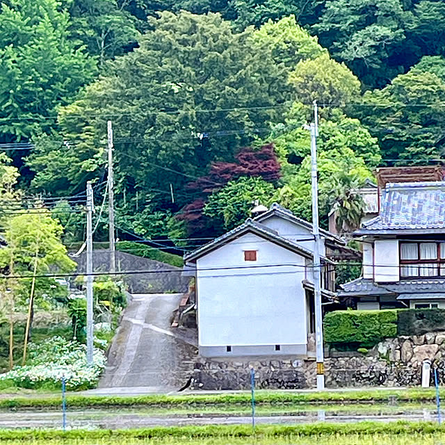 実例写真