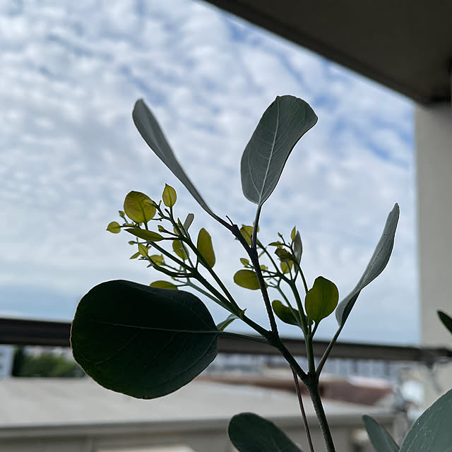 miyamiyaさんの部屋