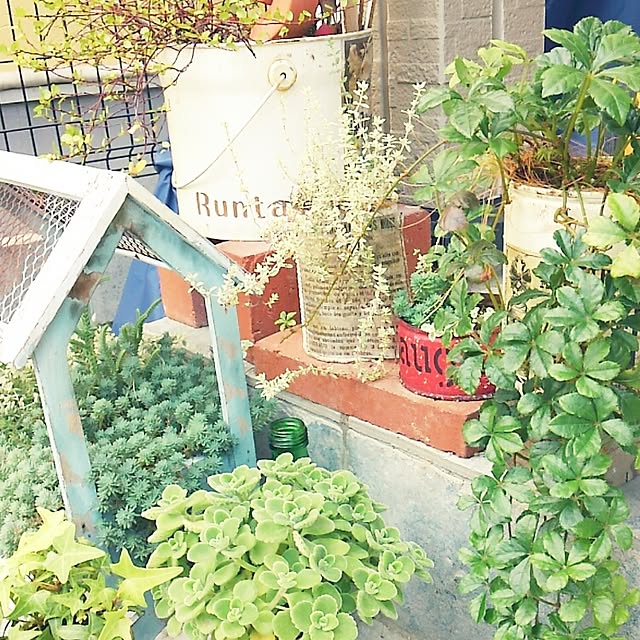 Runtaさんの実例写真