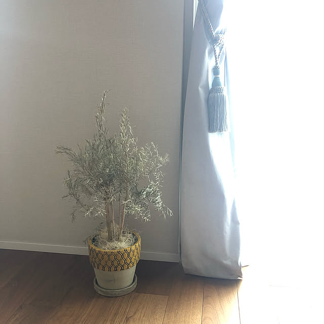 tomatoさんの実例写真