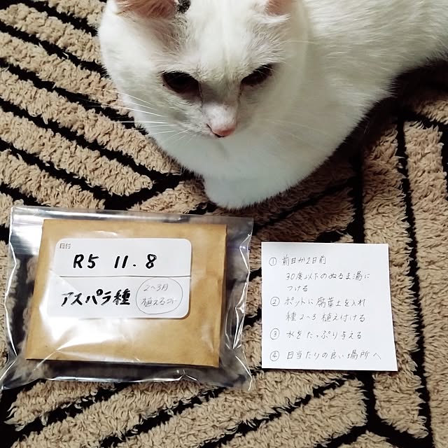 MIPORINNさんの部屋