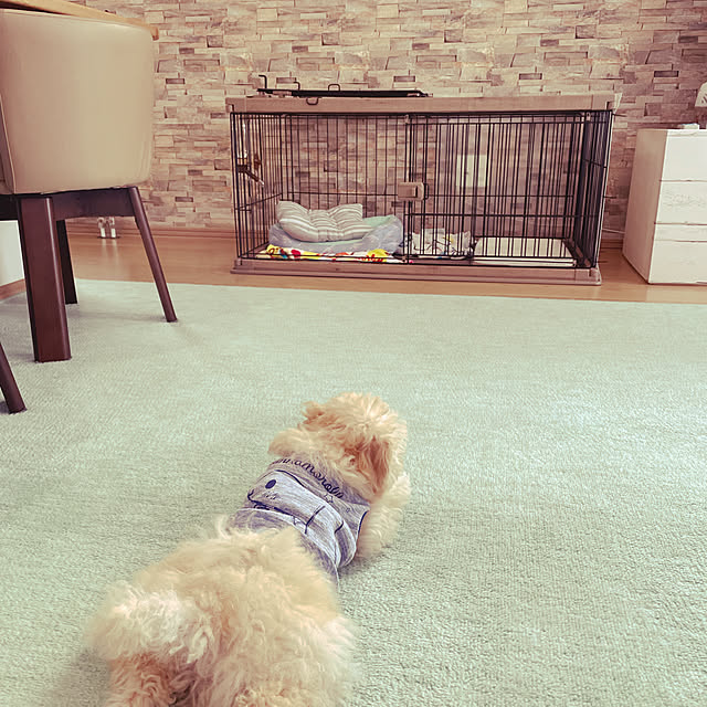 tnrpechikoさんの実例写真