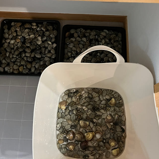 akanekoさんの部屋