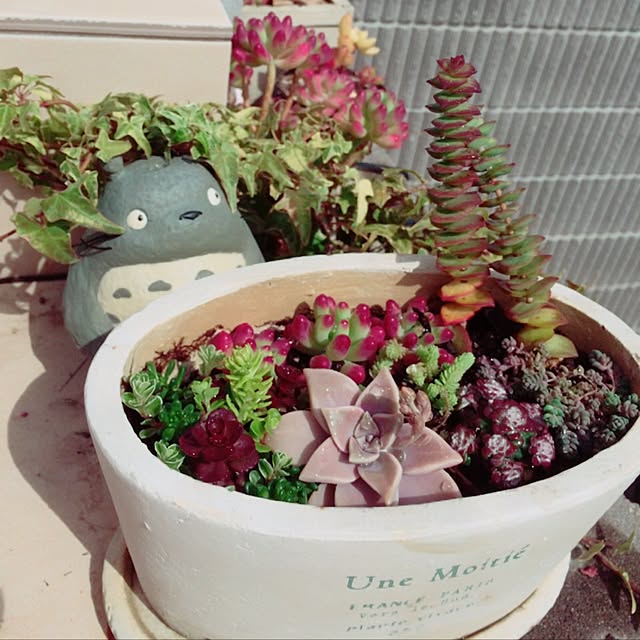 yumirinrinさんの実例写真