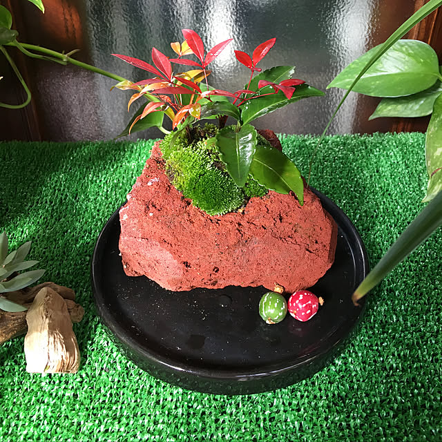 sakuranboさんの実例写真