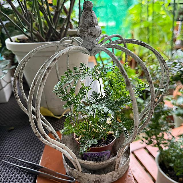 Aqettyさんの部屋