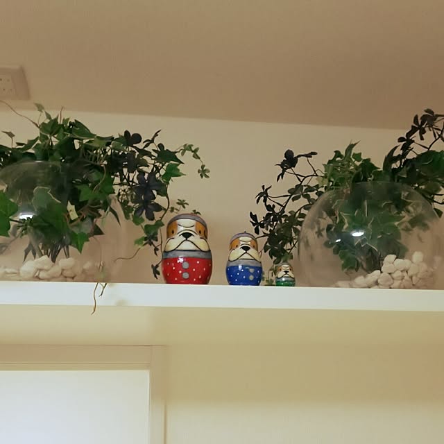 panchobiさんの実例写真