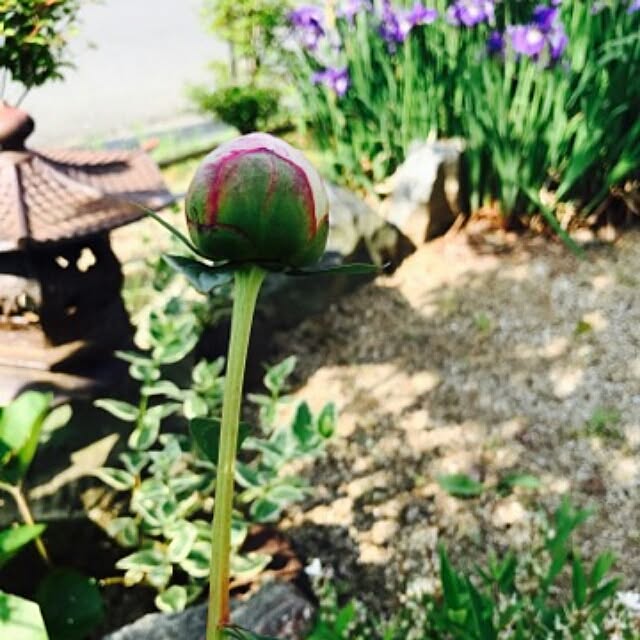 poemwalkさんの実例写真
