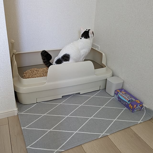 kumiさんの実例写真