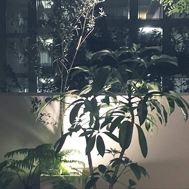 barsoomさんの実例写真