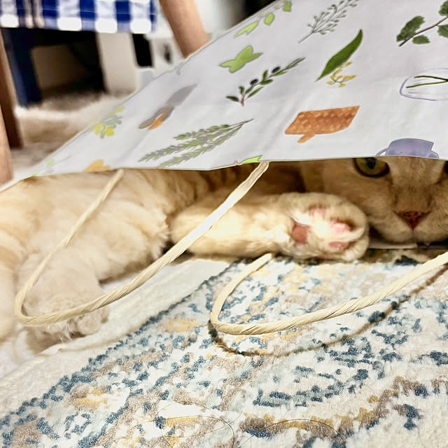 naokoさんの実例写真