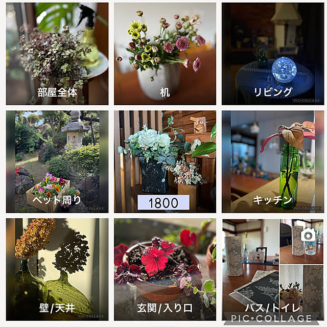 buchiさんの実例写真