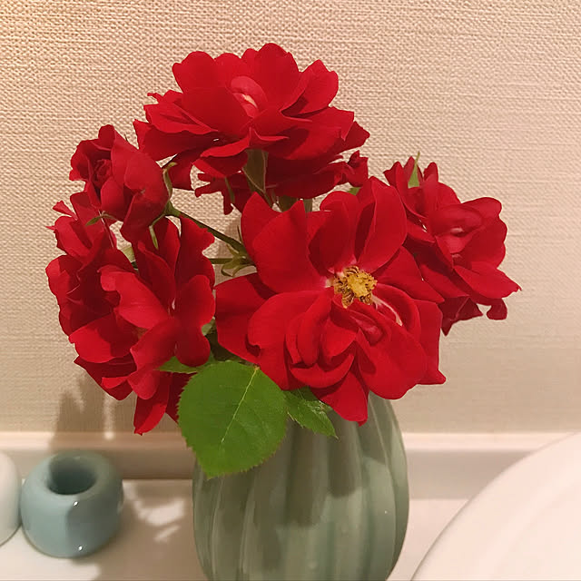 springbreezeさんの実例写真