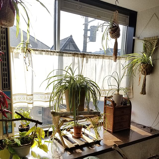 midoriさんの部屋
