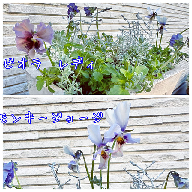 Re_さんの部屋