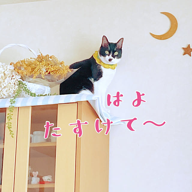moolさんの部屋