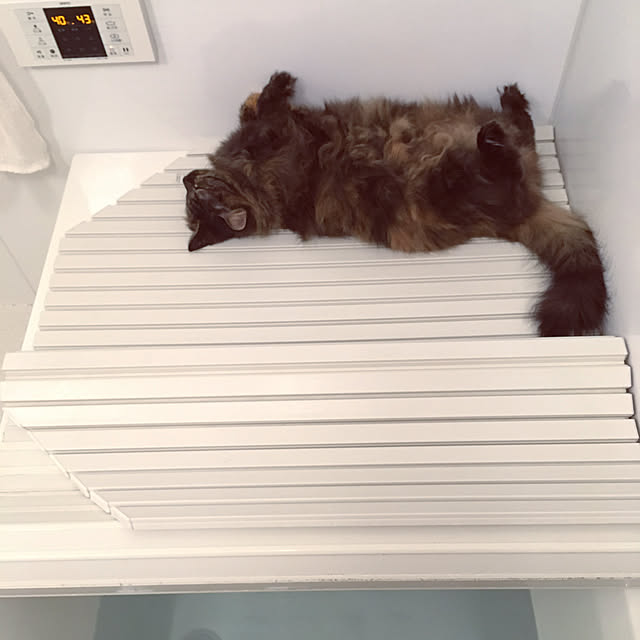 mikomaruさんの実例写真