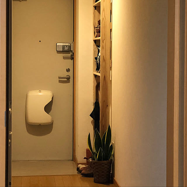 Kokiさんの実例写真