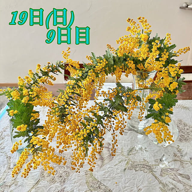 Re_さんの部屋