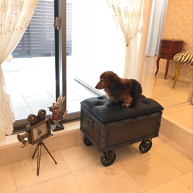 hisaminさんの実例写真