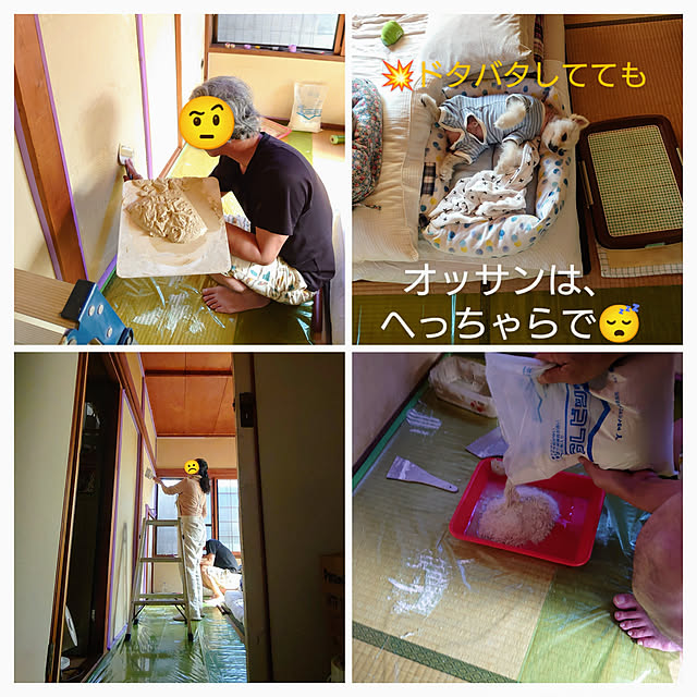 akaidarumaさんの実例写真